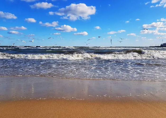 Blue&Cosy Plaża